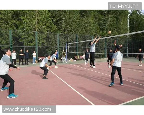 西安排球队荣登排球团队协作排行榜首位展现卓越团队精神与默契配合